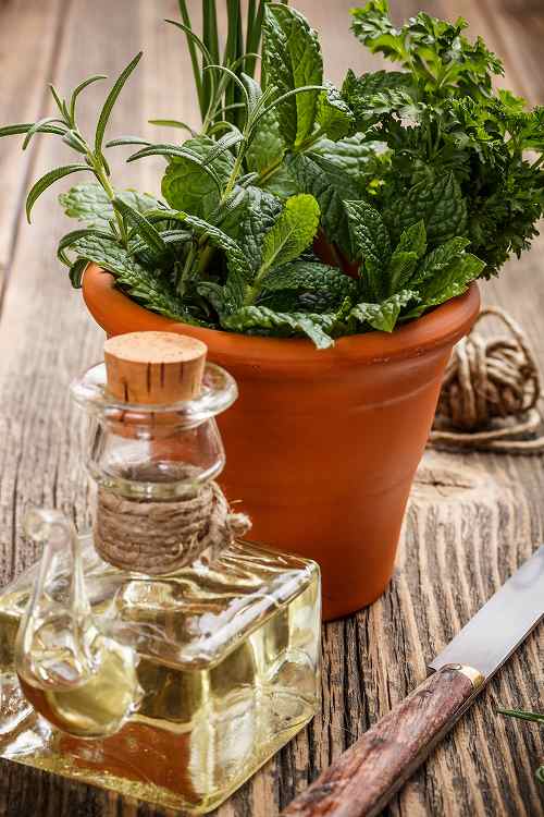 瘦身精油有用吗？