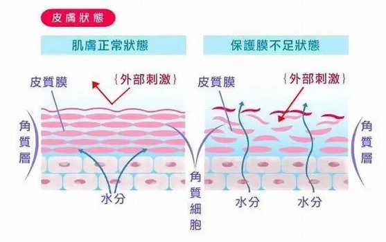 芳疗护肤应用课 | 第3课:用精油解决你的淡斑、抗衰烦恼