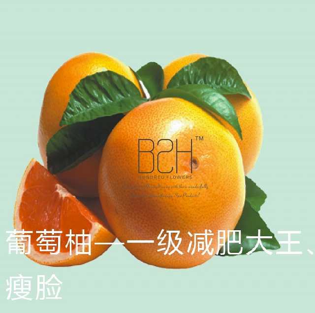 减肥之王葡萄柚精油