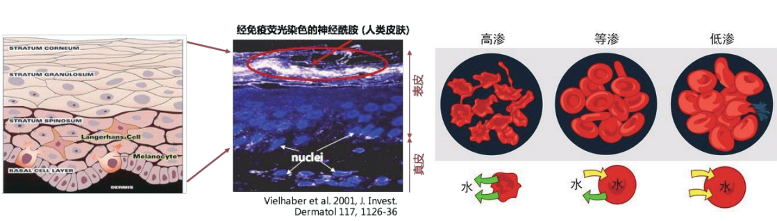 关于我们(图3)