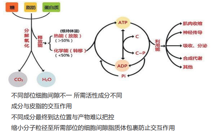关于我们(图2)
