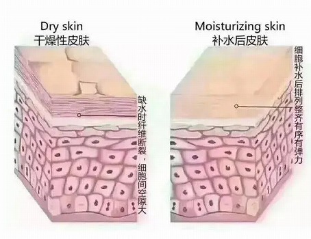 芳疗护肤应用课 | 第2课:肌肤水油失衡，要用什么精油?